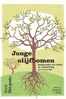 Jonge olijfbomen